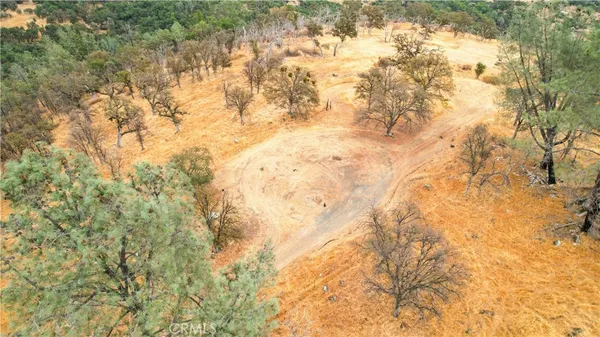 a view of outdoor space with trees