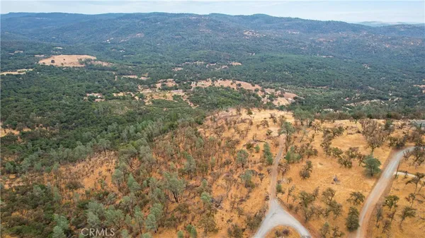a view of a field with trees in the background