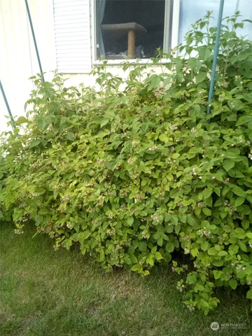 $99,000 | 1458 South E Sandpiper Lane, College Place, WA 99324