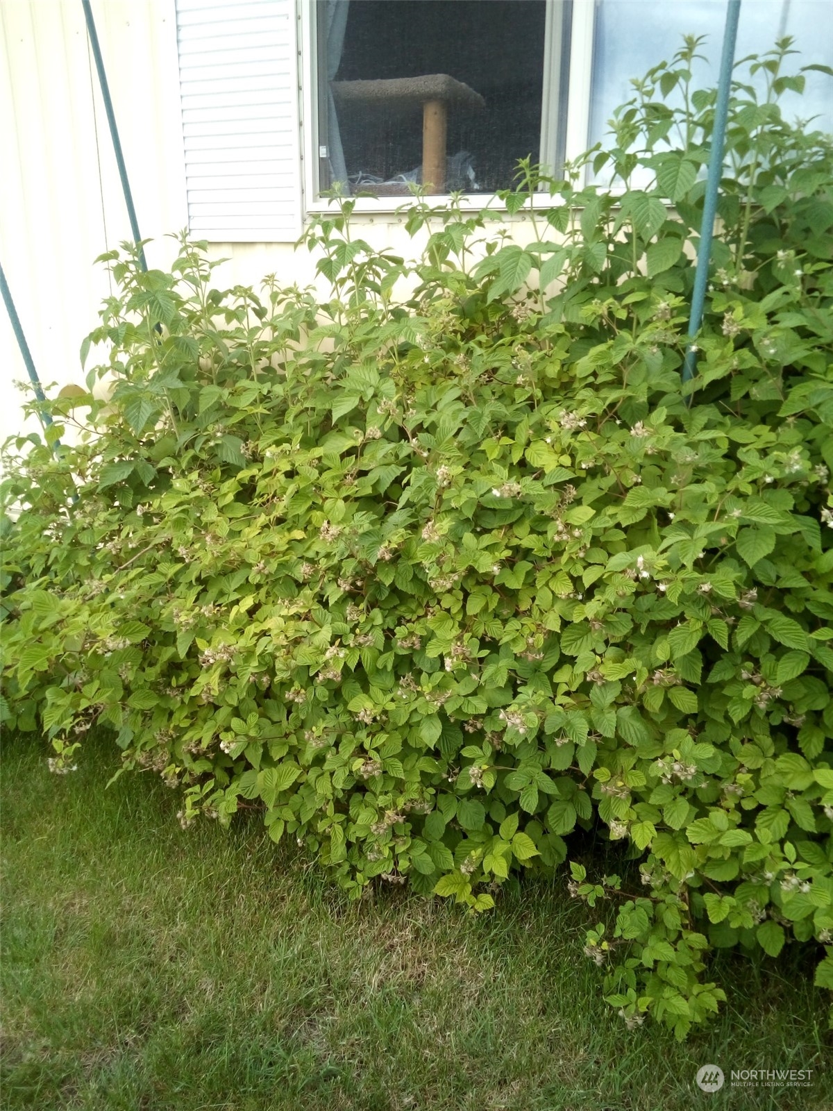 1458 South E Sandpiper Lane College Place, WA 99324 - Photo 31 of 38