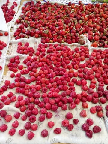 $99,000 | 1458 South E Sandpiper Lane, College Place, WA 99324