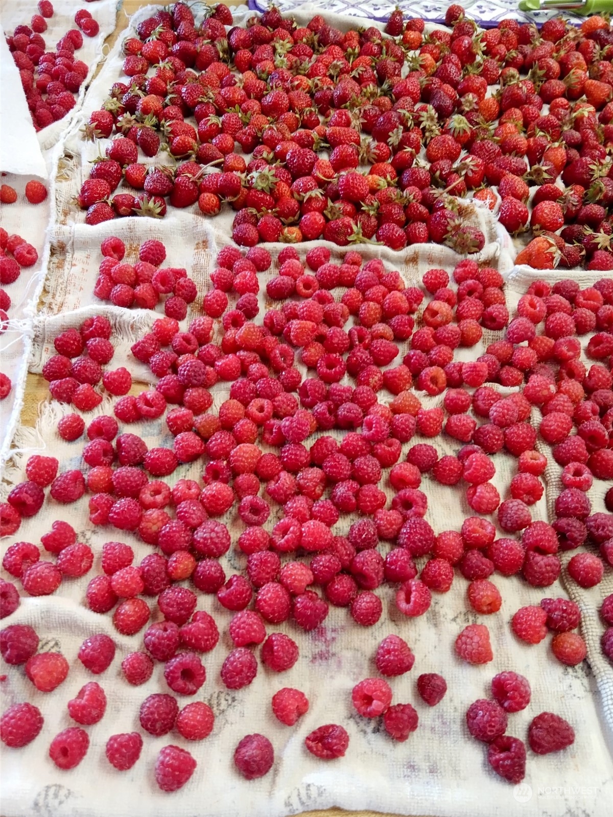 1458 South E Sandpiper Lane College Place, WA 99324 - Photo 32 of 38