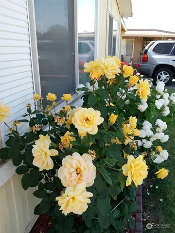 $99,000 | 1458 South E Sandpiper Lane, College Place, WA 99324