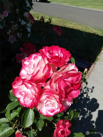 $99,000 | 1458 South E Sandpiper Lane, College Place, WA 99324