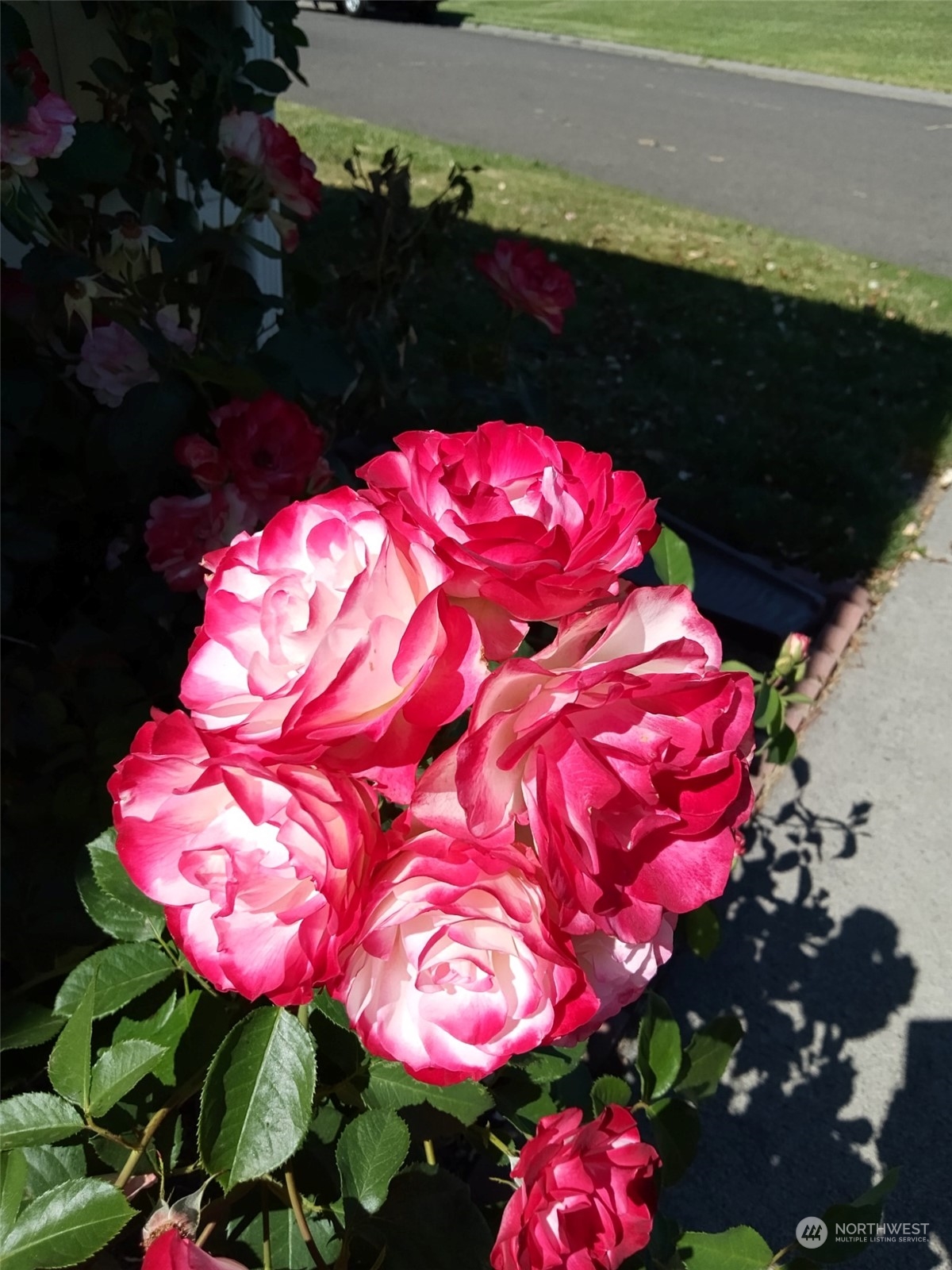 1458 South E Sandpiper Lane College Place, WA 99324 - Photo 34 of 38