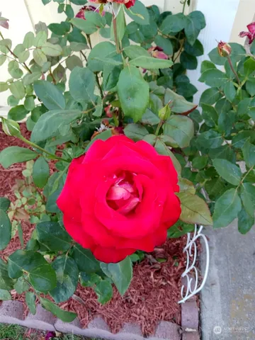 $99,000 | 1458 South E Sandpiper Lane, College Place, WA 99324