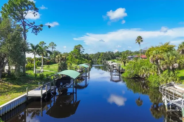 a view of a garden with plants