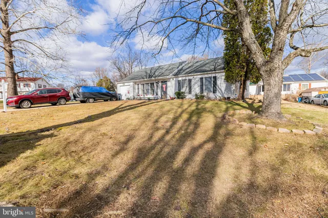 a view of street with large trees