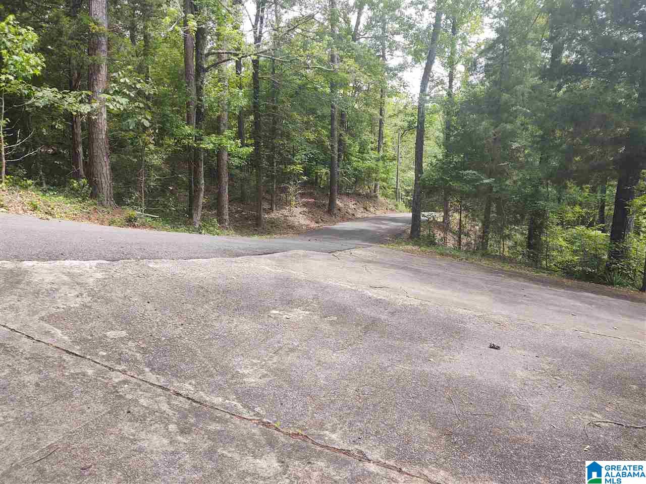 433 Riverview Road Adger, AL 35006 - Photo 37 of 42