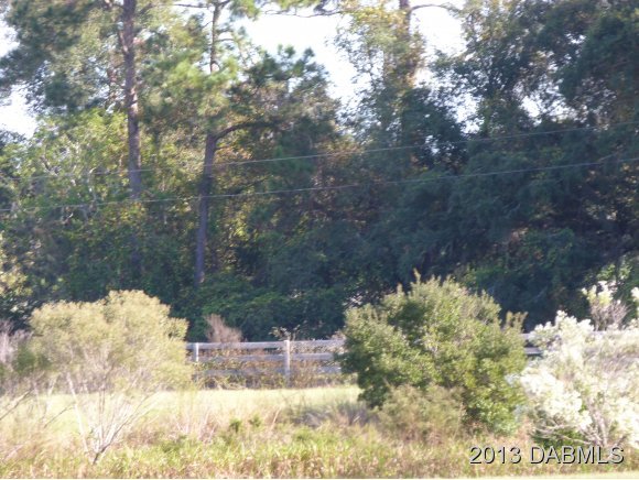2350 Place Pond Road De Leon Springs, FL 32130 - Photo 11 of 13 Additional Photo