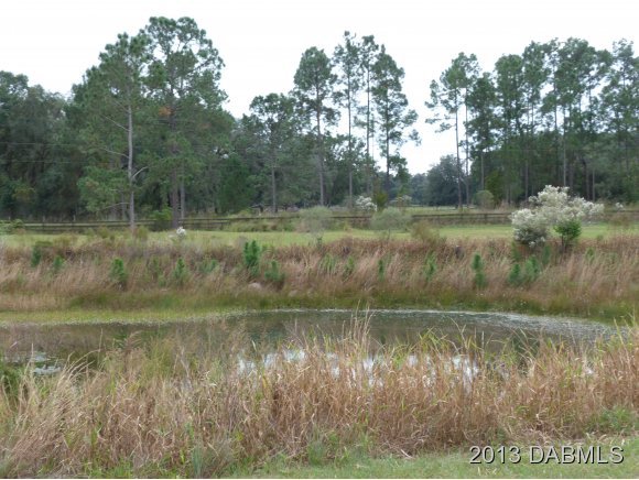 2350 Place Pond Road De Leon Springs, FL 32130 - Photo 12 of 13 Additional Photo