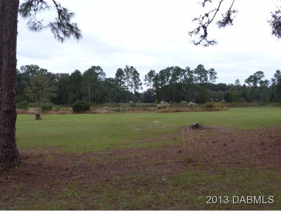 2350 Place Pond Road De Leon Springs, FL 32130 - Photo 13 of 13 Additional Photo