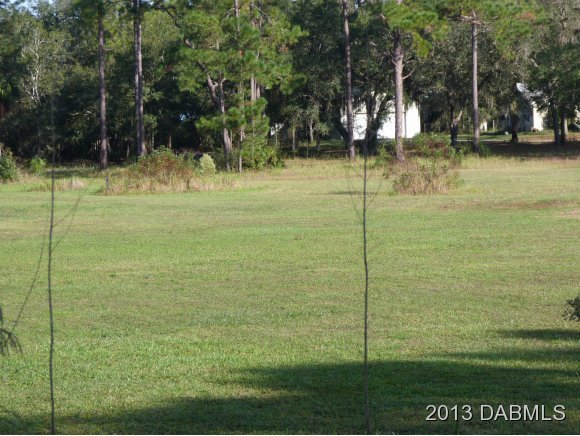 2350 Place Pond Road De Leon Springs, FL 32130 - Photo 10 of 13 Additional Photo