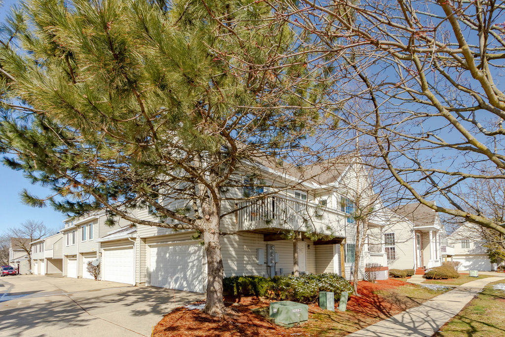 338 Springmist Court Bolingbrook, IL 60440 - Photo 3 of 29