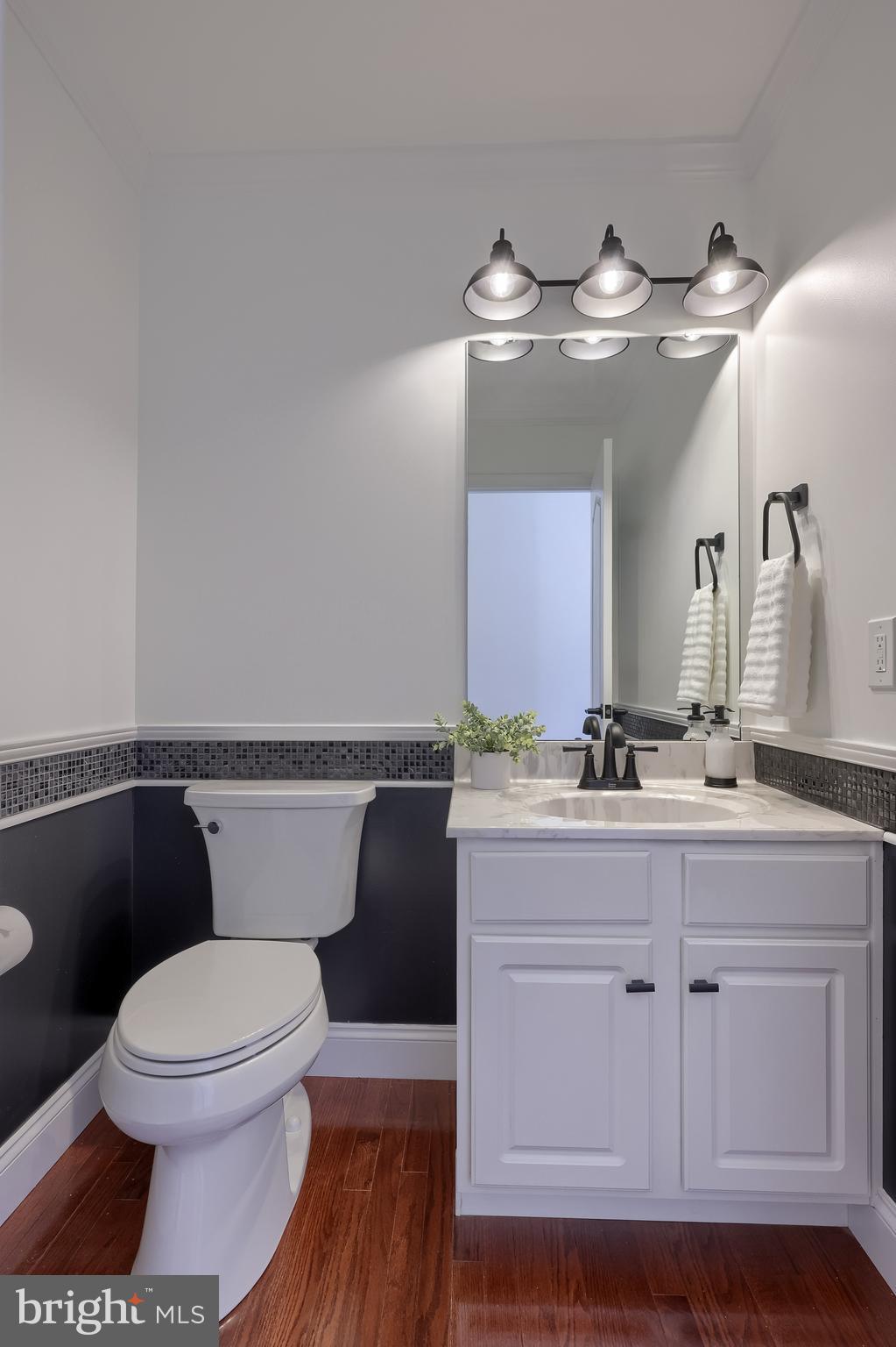 809 West Brubaker Valley Road Lititz, PA 17543 - Photo 17 of 58 a bathroom with a toilet a sink and a mirror