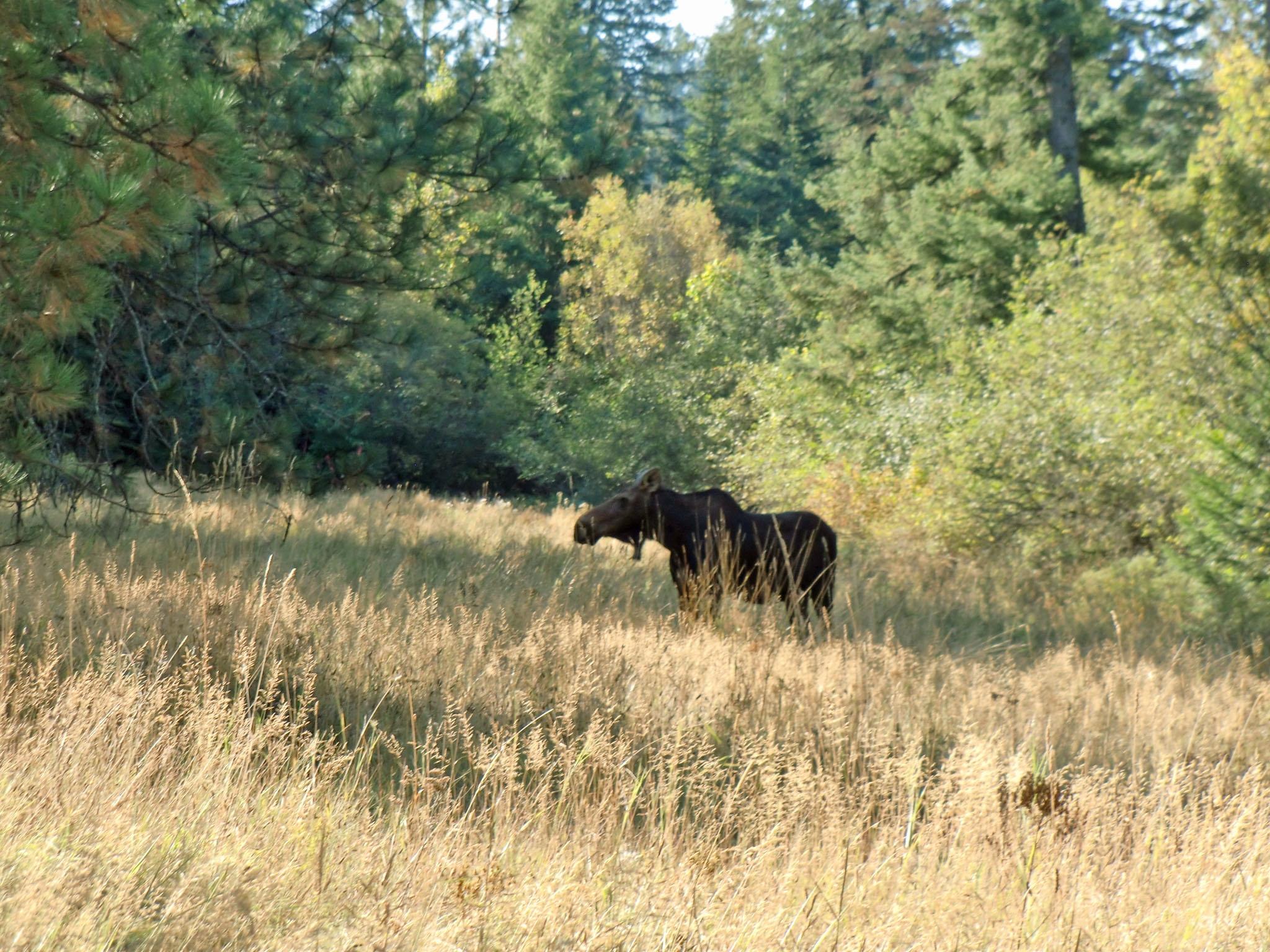 Nna South Farup Road Worley, ID 83876 - Photo 1 of 1 Watch the Wildlife