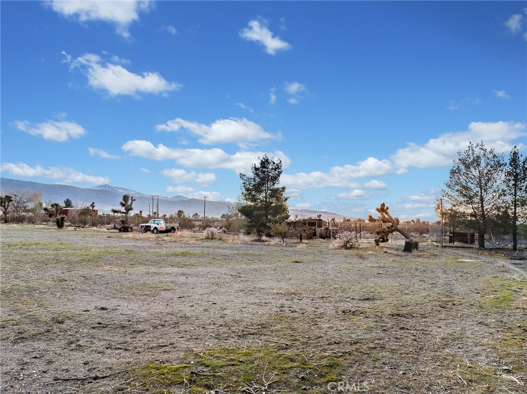 12326 Silver Rock Road Pinon Hills, CA 92372 - Photo 37 of 41 a view of a dry yard with wooden fence