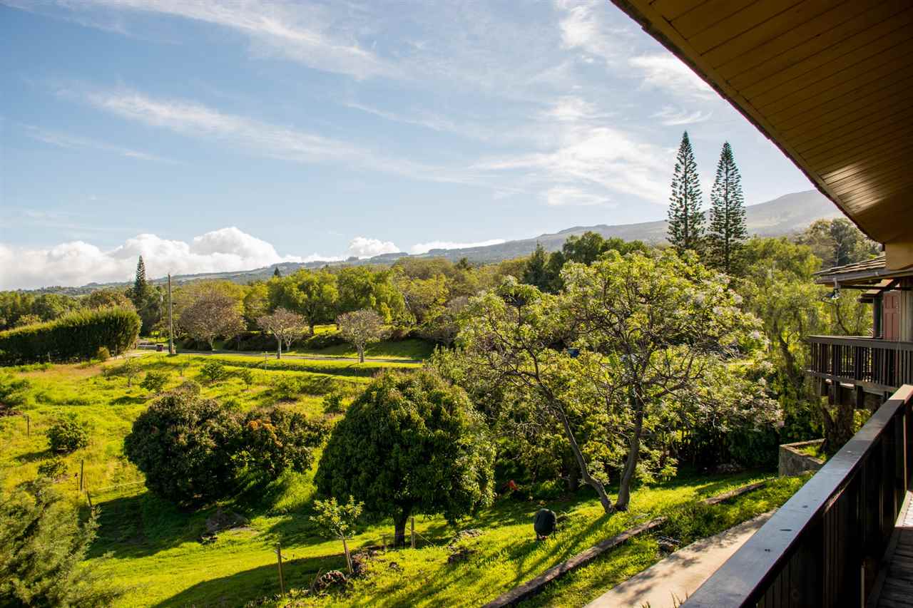 1470 Naalae Road Kula, HI 96790 - Photo 28 of 30 a view of a lake
