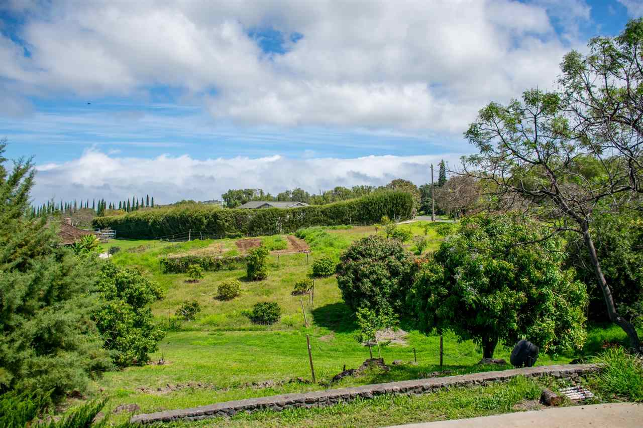 1470 Naalae Road Kula, HI 96790 - Photo 29 of 30 a view of a big yard with potted plants