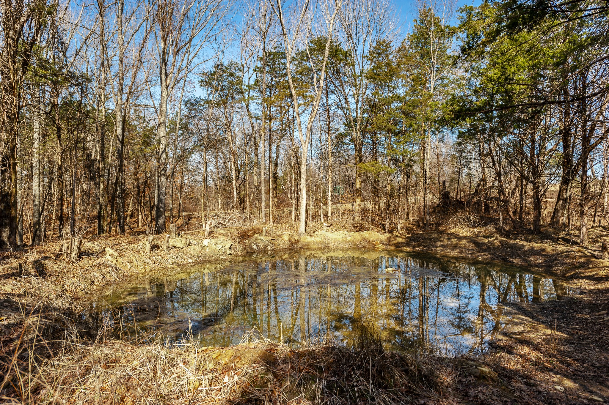 8870 Rocky Fork Road Smyrna, TN 37167 - Photo 11 of 14