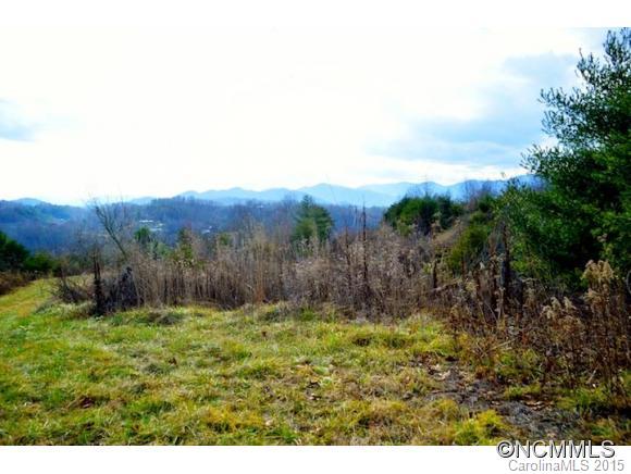 0 East Sams Road Marshall, NC 28753 - Photo 22 of 22 Gallery Image 22