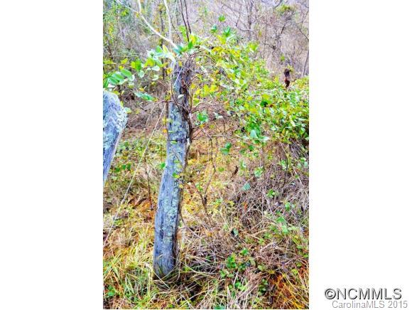 0 East Sams Road Marshall, NC 28753 - Photo 8 of 22 Gallery Image 8