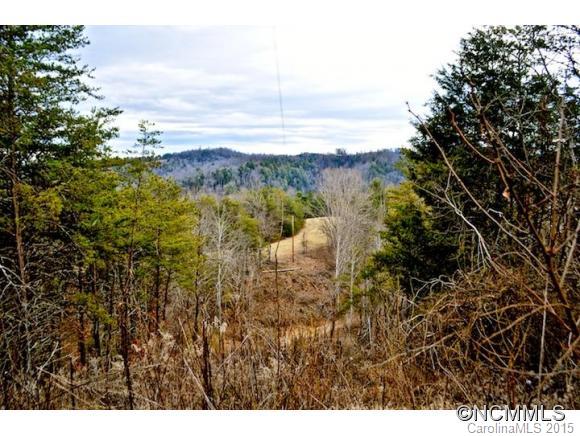0 East Sams Road Marshall, NC 28753 - Photo 9 of 22 Gallery Image 9