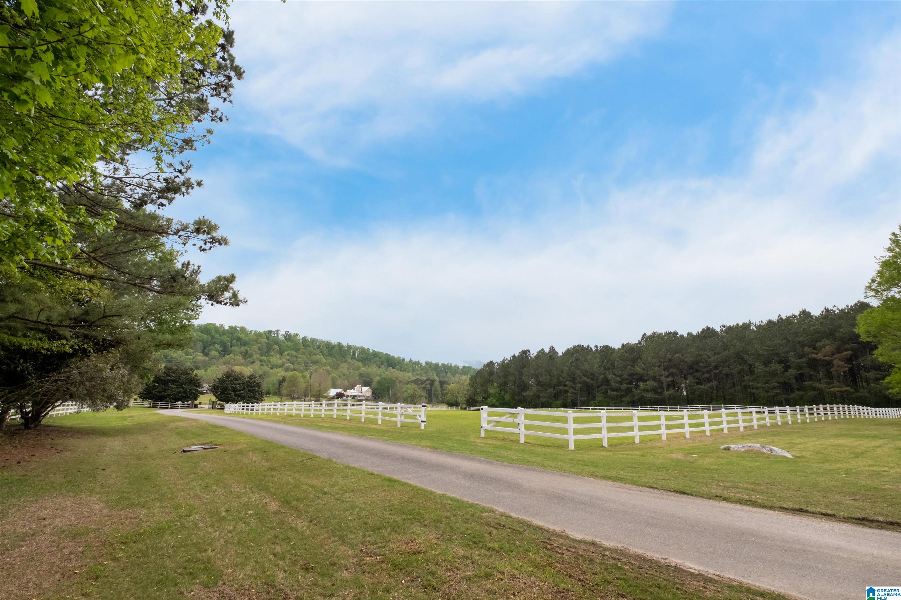 3061 Cahaba Valley Road Pelham, AL 35124 - Photo 3 of 100