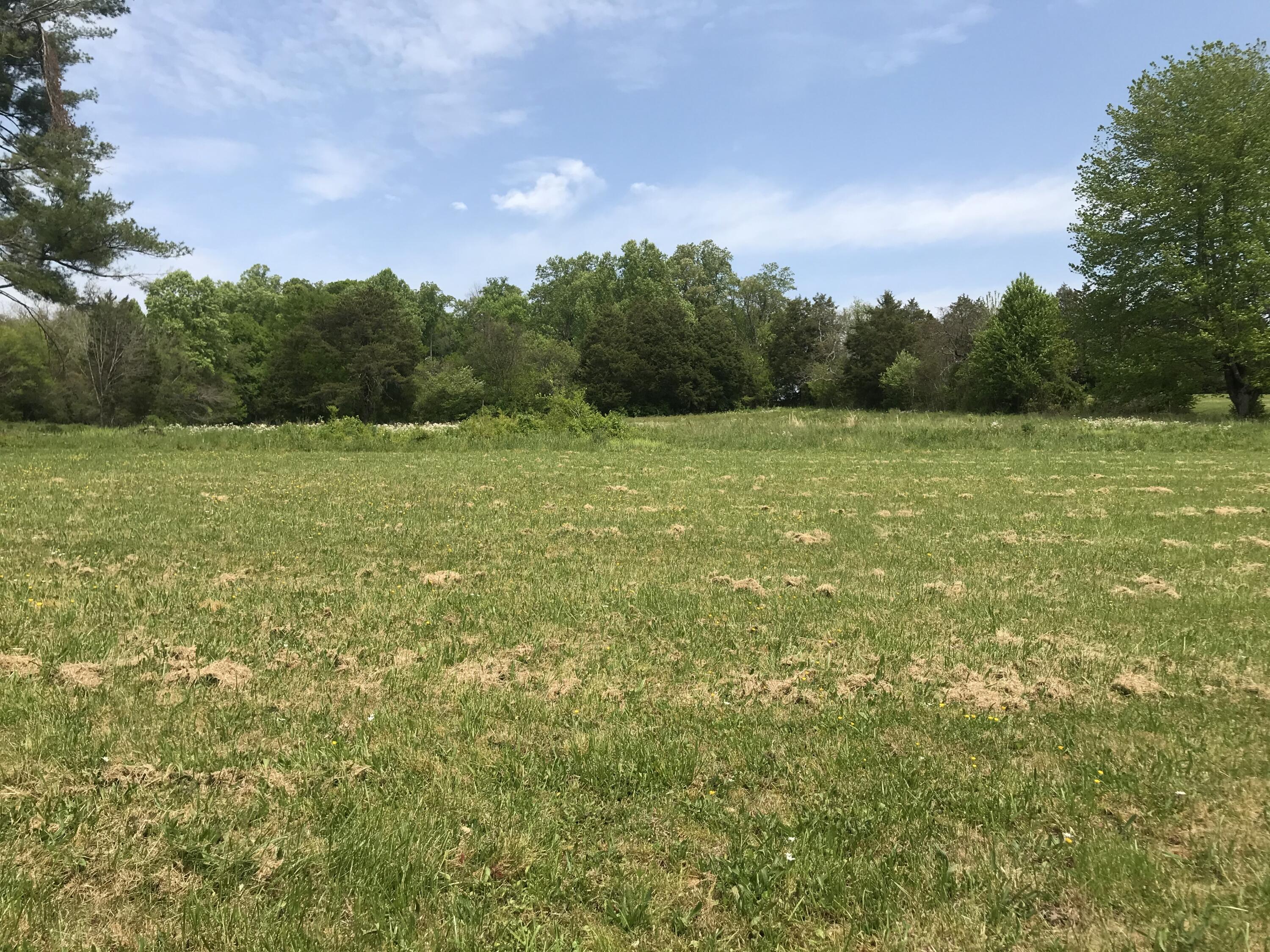 Lot#3 Johnson Road Knoxville, TN 37931 - Photo 1 of 1 Lot #3