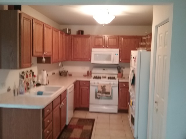 9510 Rainsford Drive Huntley, IL 60142 - Photo 11 of 20