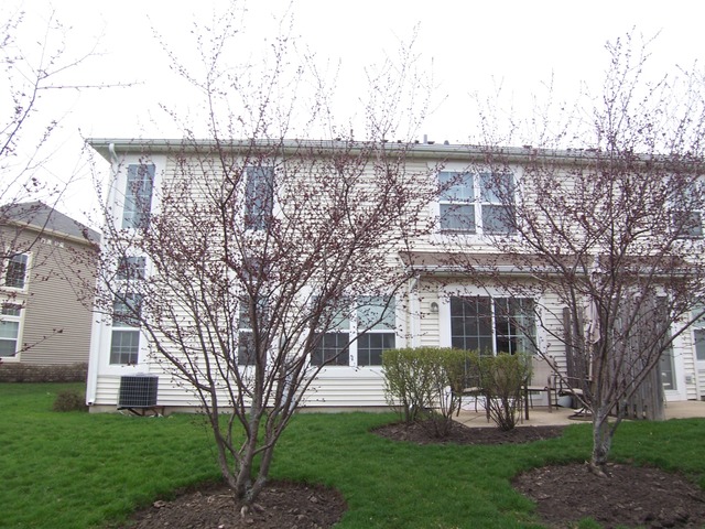 9510 Rainsford Drive Huntley, IL 60142 - Photo 17 of 20