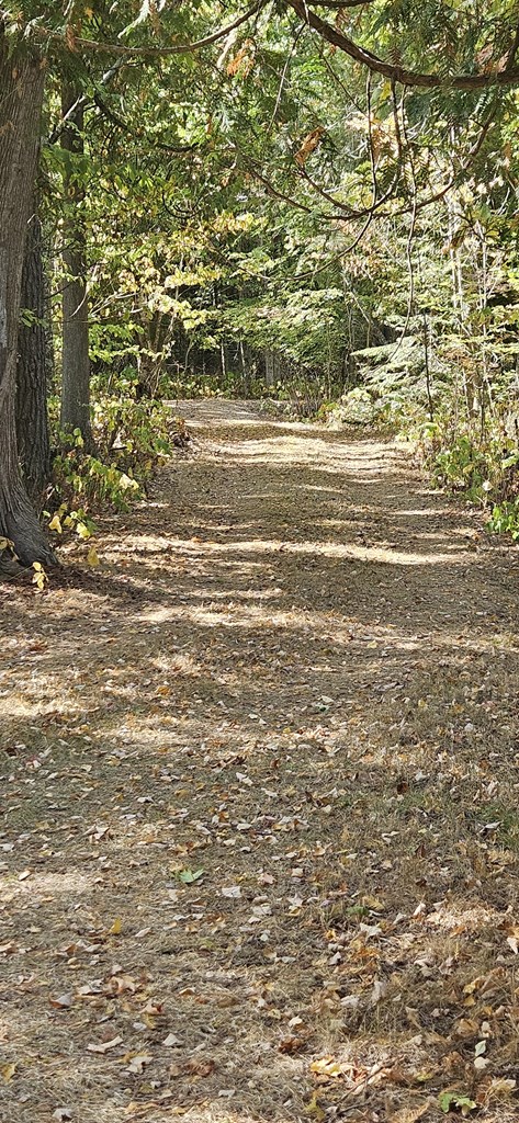 12498 Northern Door Road Ellison Bay, WI 54210 - Photo 28 of 44 Gallery Image 28