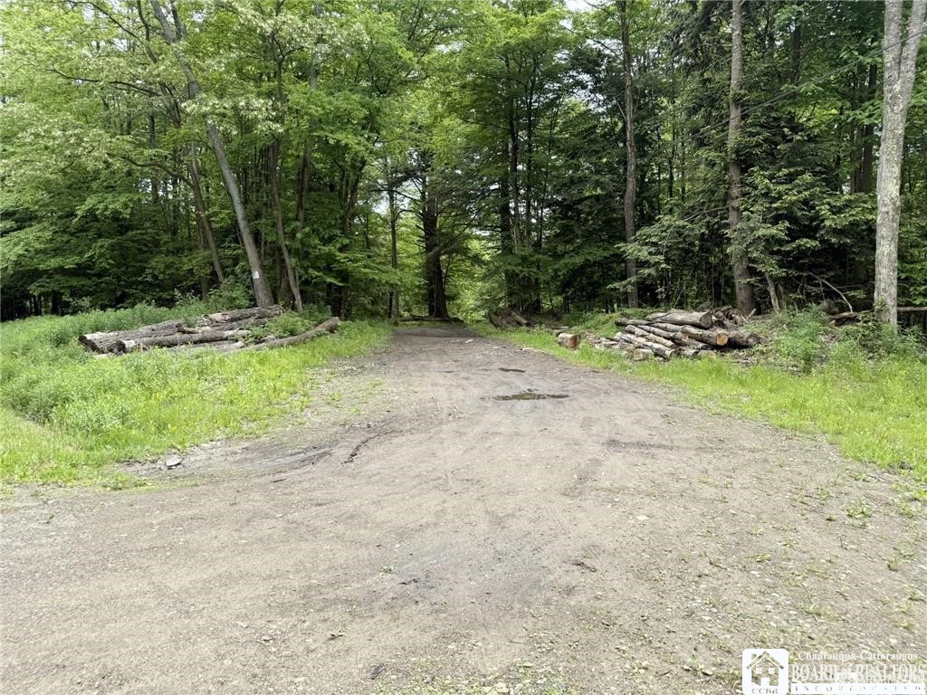 0 Luce Road Bemus Point, NY 14712 - Photo 21 of 39