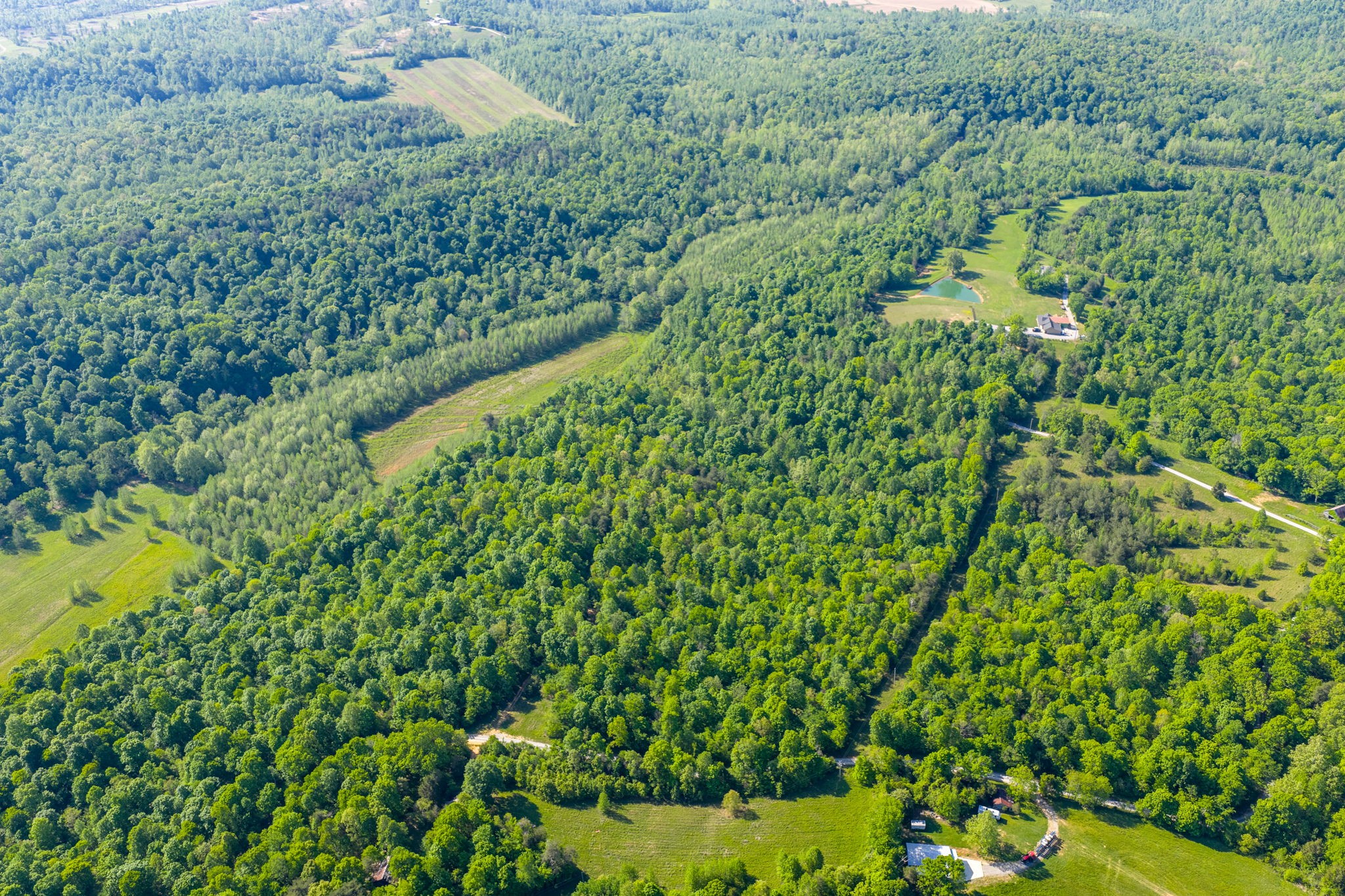 605 Morris Beshear Road Dawson Springs, KY 42408 - Photo 9 of 14 Gallery Image 9
