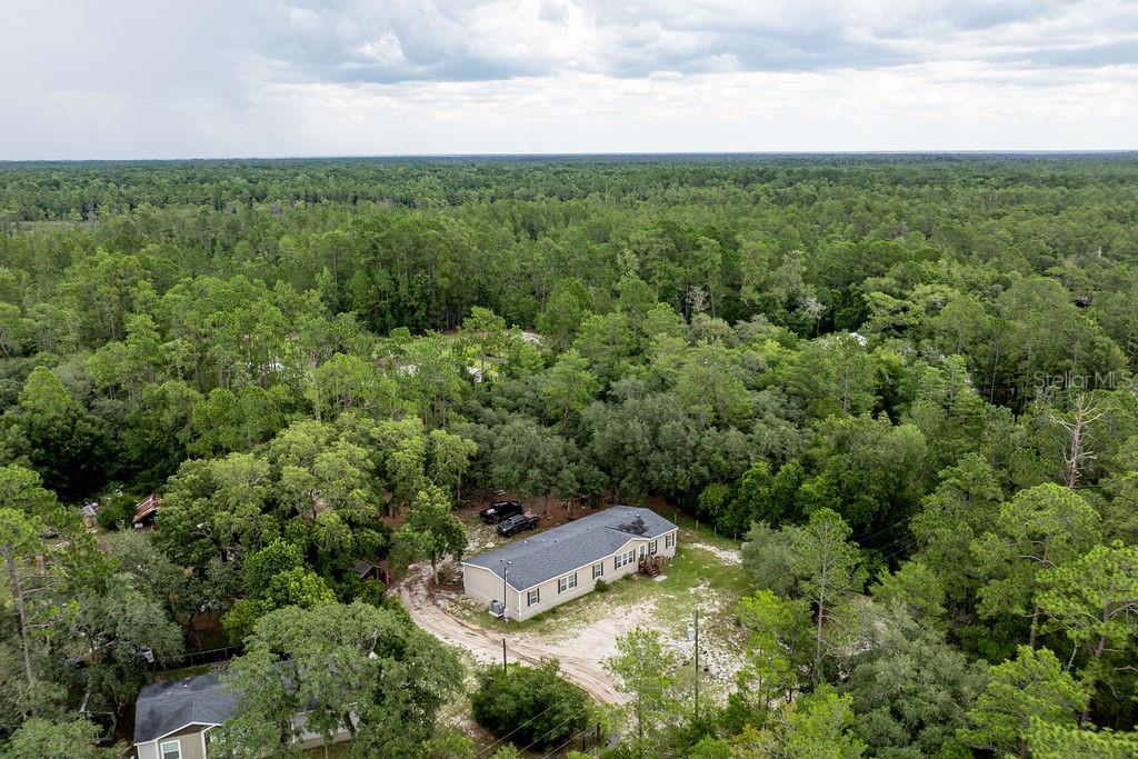24821 Old Deer Road Paisley, FL 32767 - Photo 41 of 43