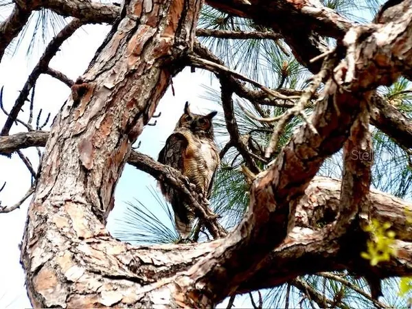 $149,000 | 2700 Bayshore Boulevard, Unit 2310, Dunedin, FL 34698