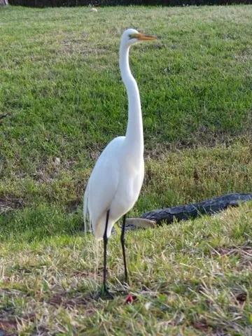 $175,000 | 2700 Bayshore Boulevard, Unit 2310, Dunedin, FL 34698