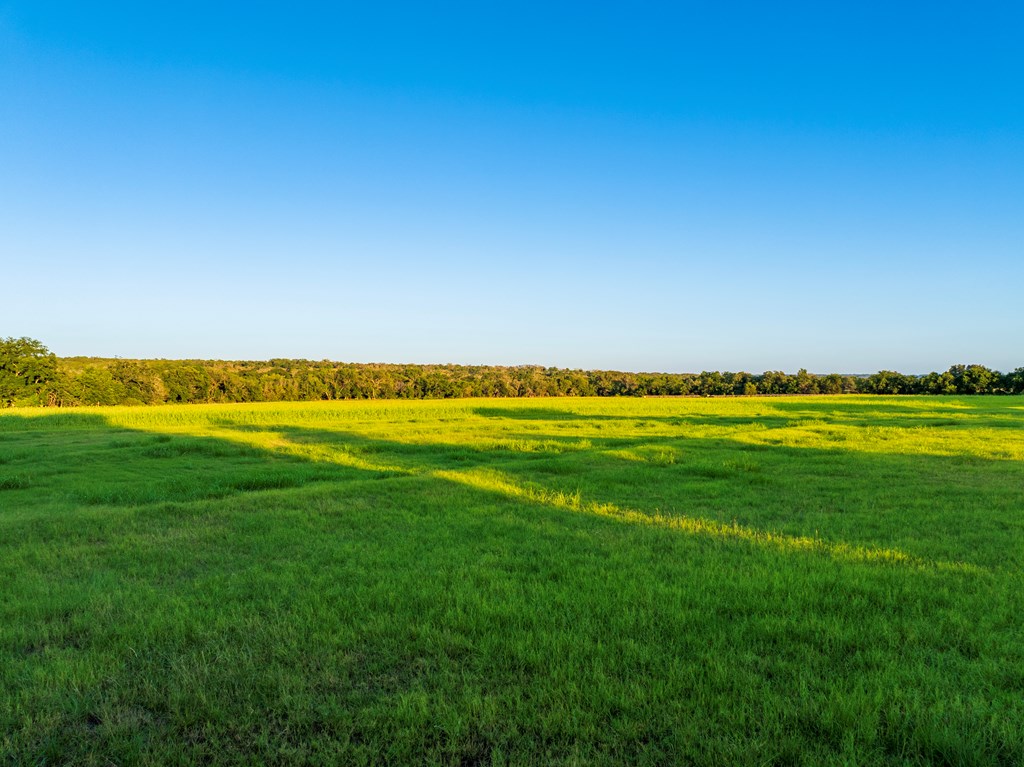 33-acres Lower Albert Road Stonewall, TX 78671 - Photo 7 of 39 Gallery Image 7
