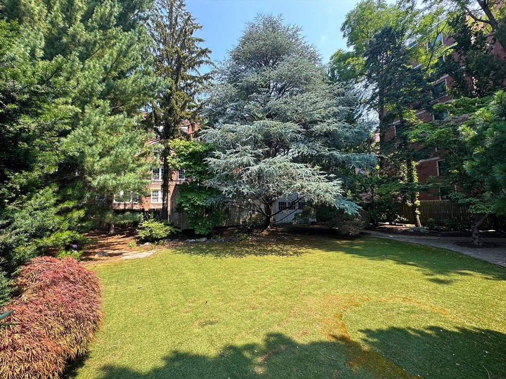 29 Follen Street Cambridge, MA 02138 - Photo 20 of 32 a view of a swimming pool with an outdoor space and seating area