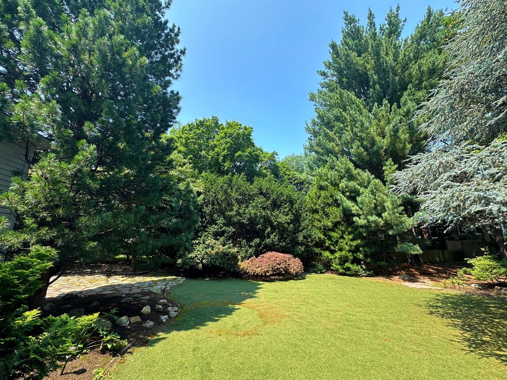 29 Follen Street Cambridge, MA 02138 - Photo 22 of 32 a view of a yard