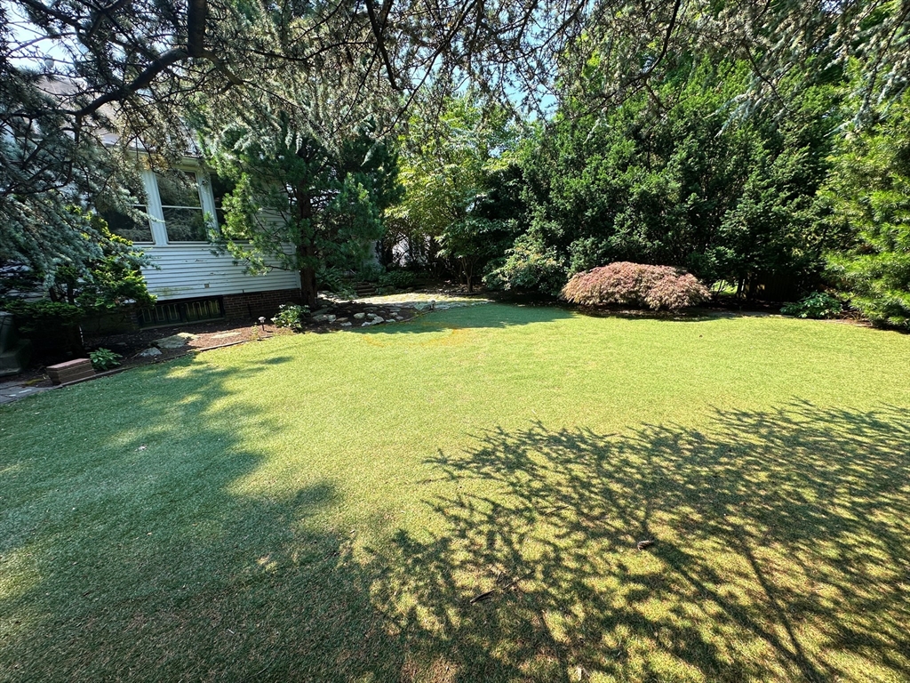 29 Follen Street Cambridge, MA 02138 - Photo 23 of 32 a view of a large yard with large trees