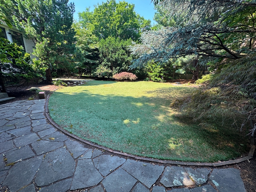 29 Follen Street Cambridge, MA 02138 - Photo 24 of 32 a view of outdoor space and yard