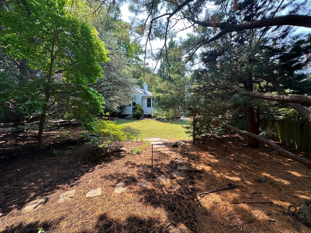 29 Follen Street Cambridge, MA 02138 - Photo 25 of 32 a view of a yard with swimming pool