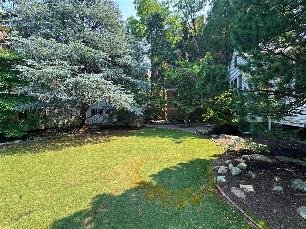29 Follen Street Cambridge, MA 02138 - Photo 26 of 32 a view of a yard with an outdoor space