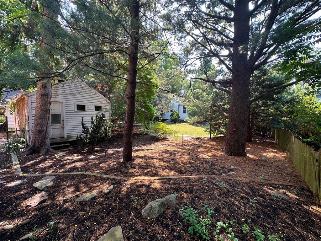 29 Follen Street Cambridge, MA 02138 - Photo 29 of 32 a view of a house with a tree and yard