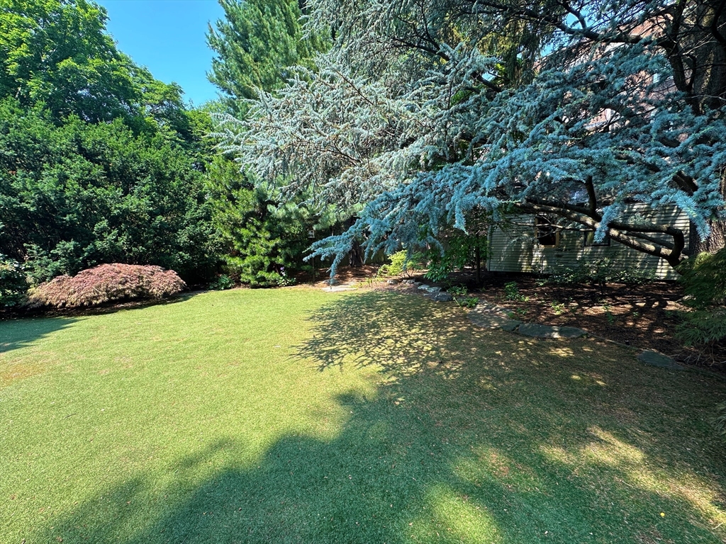 29 Follen Street Cambridge, MA 02138 - Photo 31 of 32 a view of outdoor space and yard