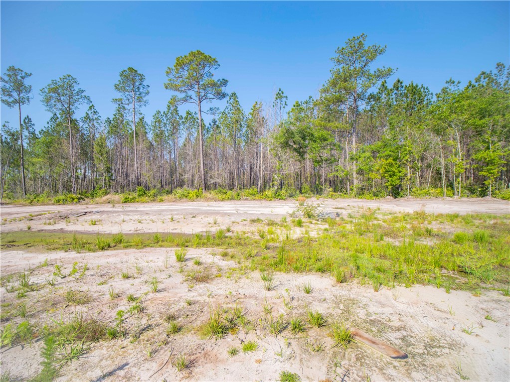 101 Red Hawk Court Waynesville, GA 31566 - Photo 20 of 22