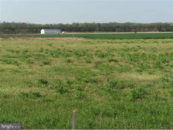 Lot 10 Bacons Road Laurel, DE 19956 - Photo 1 of 2 Gallery Image 1