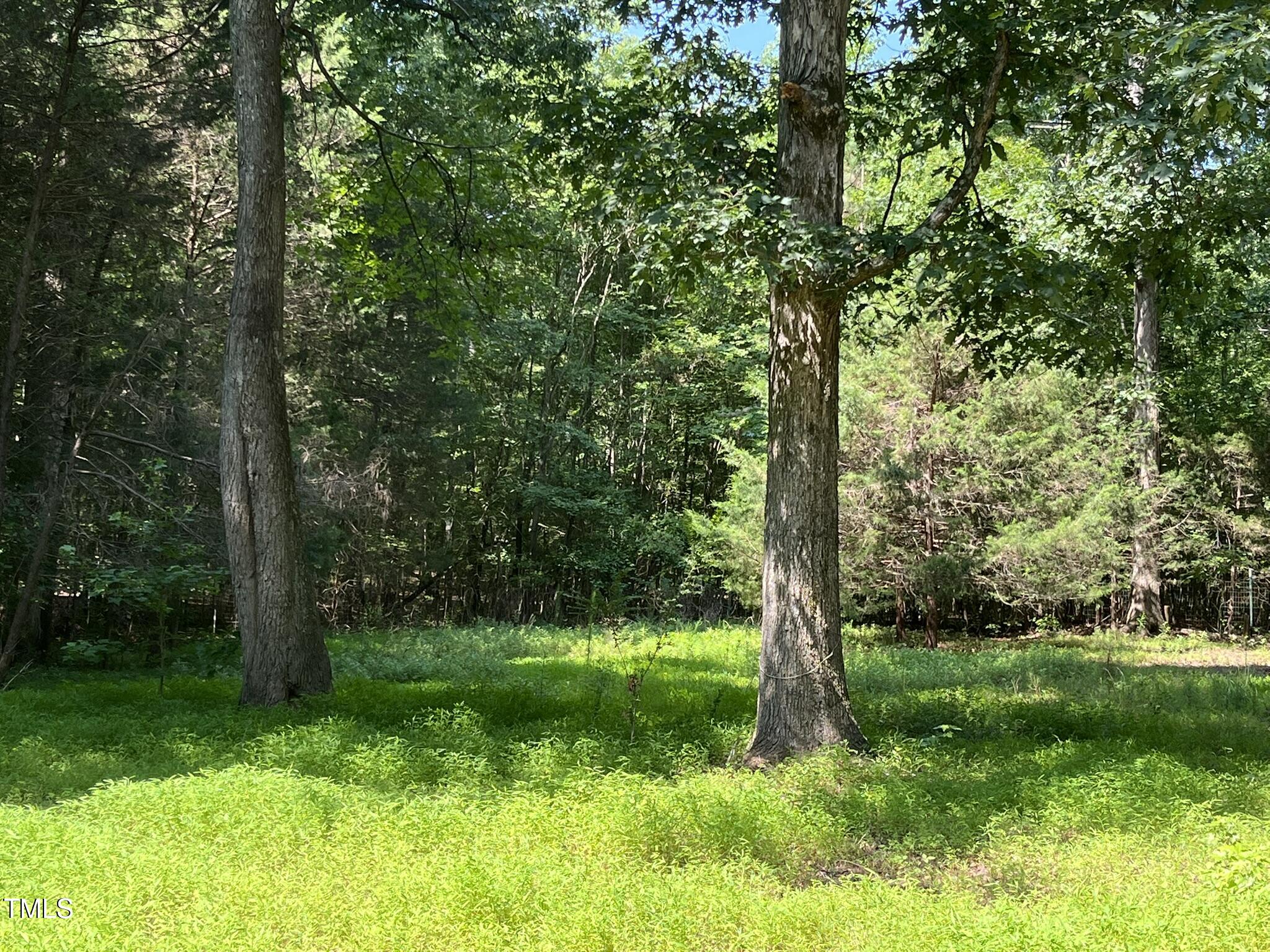325 Raleigh Farms Road Youngsville, NC 27596 - Photo 18 of 26 IMG_3013