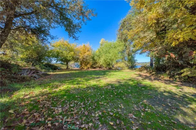 a view of yard with green space